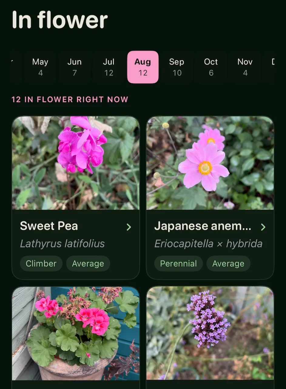 In flower, with August chosen from a strip of months and twelve plants under it, each a photograph with its common and Latin names.